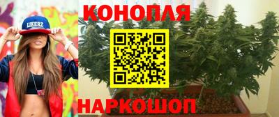mix Будённовск