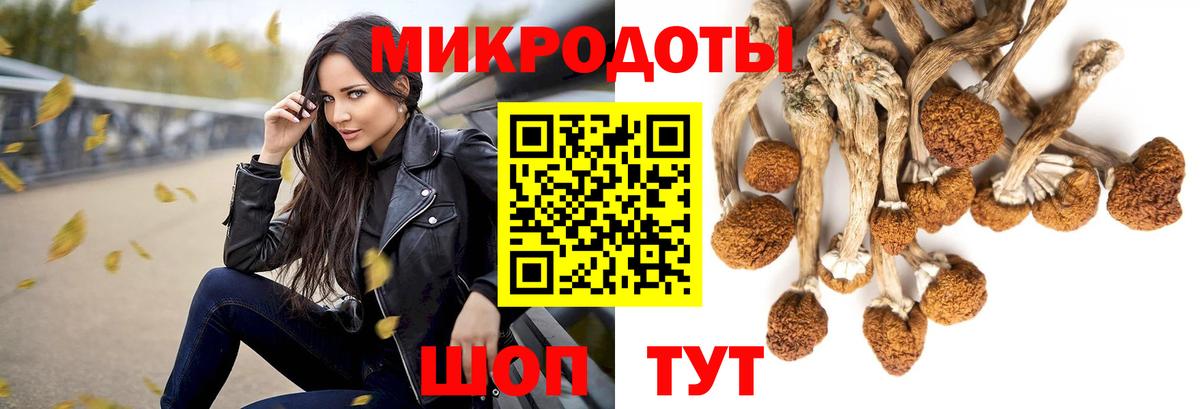 Псилоцибиновые грибы GOLDEN TEACHER Барабинск